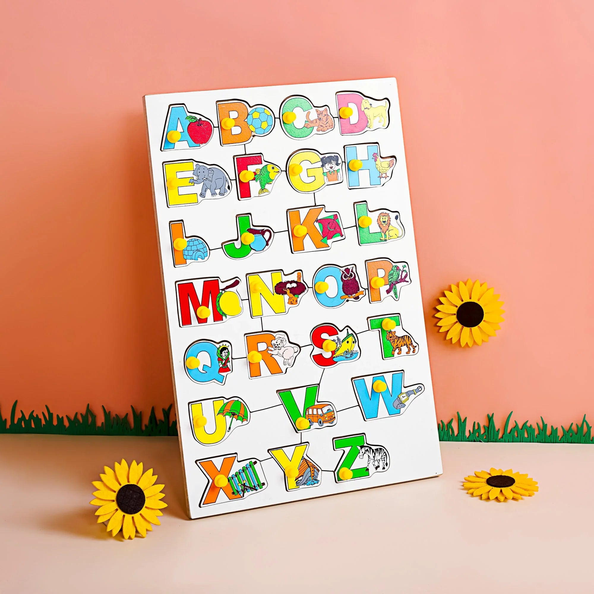 Learning Puzzles kit