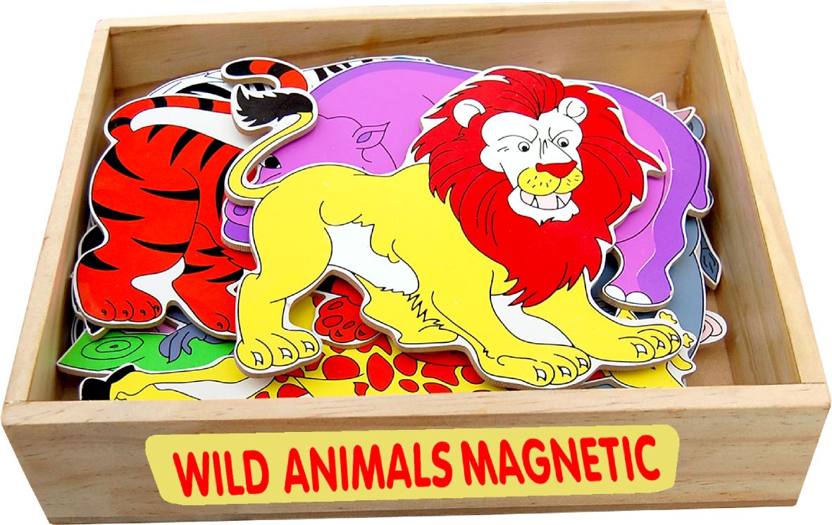 Magnetic Animals